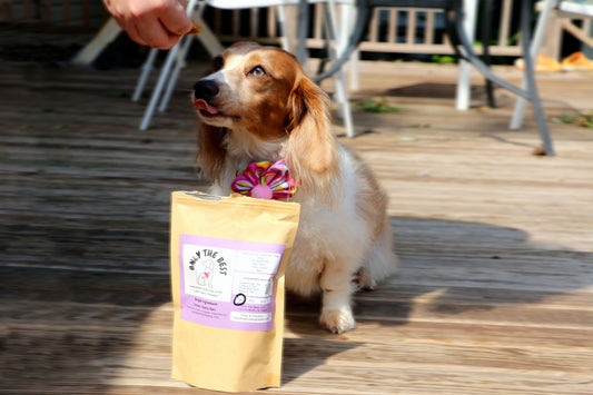 Chicken Heart Bars with Butternut Squash
