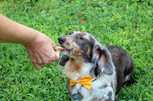 Beef Liver Bars with Sweet Potatoes